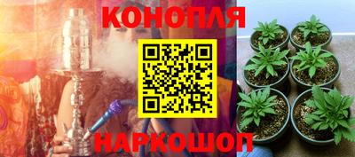 спиды Кунгур