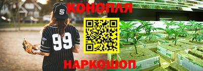 шишки Кулебаки