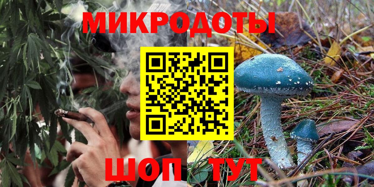 Псилоцибиновые грибы Cubensis  сколько стоит  Гудермес  Вход с VPN 