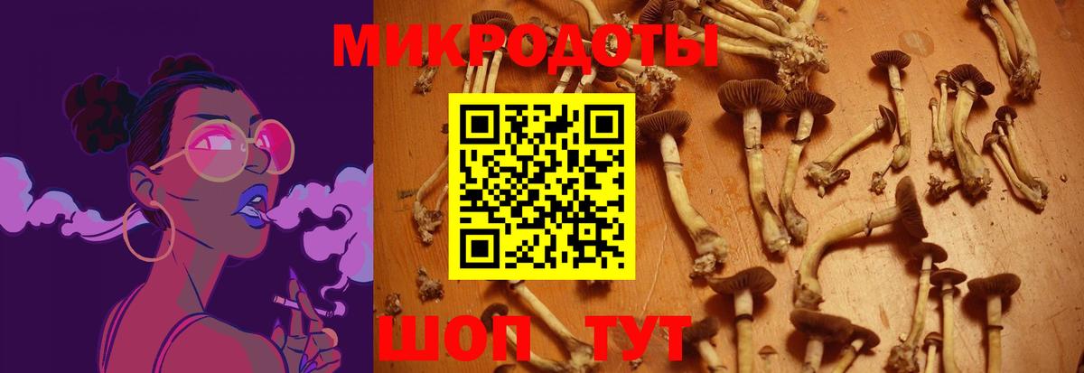 Псилоцибиновые грибы Magic Shrooms  Галлюциногенные грибы MAGIC MUSHROOMS  Гудермес 