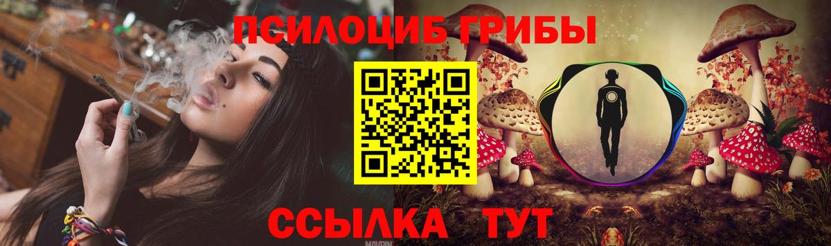 Галлюциногенные грибы мухоморы Гудермес